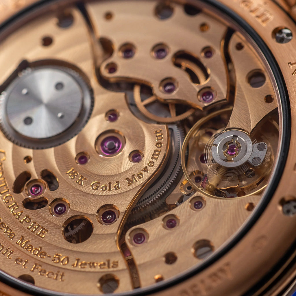 F.P. Journe Centigraphe LineSport CT2 RG BR Rose Gold Gray Dial 44mm - 2025 — image 6
